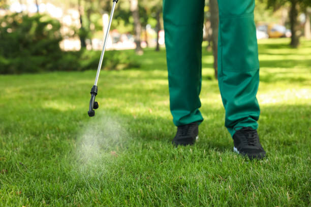 Best Pest Inspection Near Me  in Russellville, AL