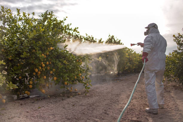 Best Local Pest Control Services  in Russellville, AL