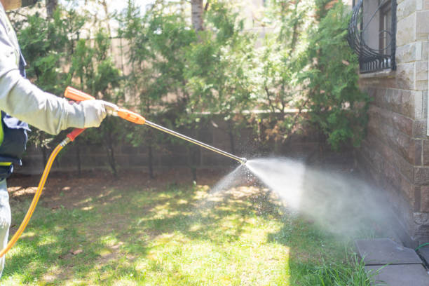 Best Emergency Pest Control  in Russellville, AL