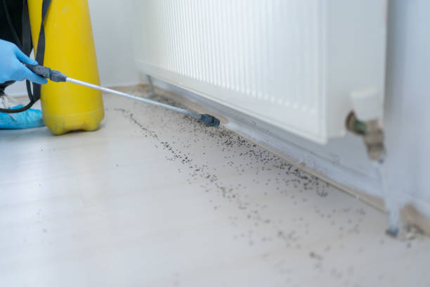 Best Wildlife Control Services  in Russellville, AL